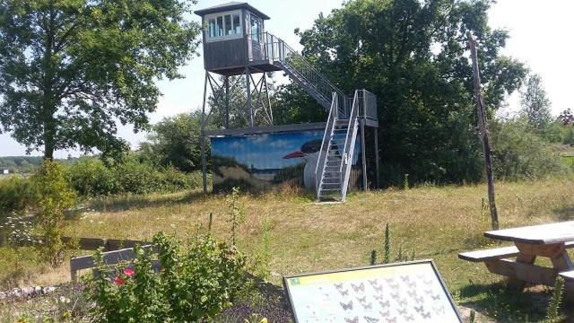 Enjoy Meer Und See Ferienhaus -In Lauwersoog- 1-6 Pers- 3 Schlafzimmer- Fruehes Einchecken Ab 14 Uhr Buitenkant foto